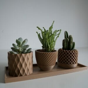 3D Printed Pots and Tray
